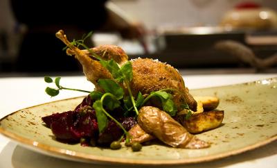 استروم رتردام