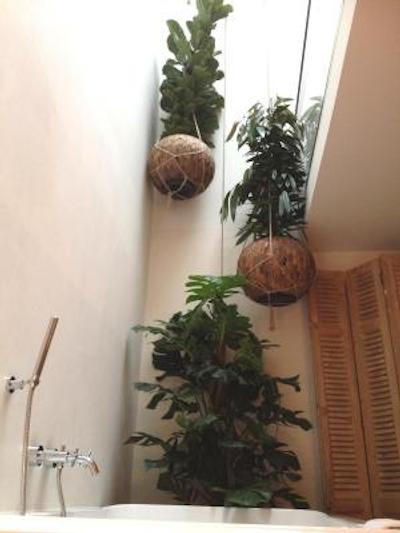 استروم رتردام