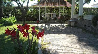 جیاردینو دگلی ارانسی ب اند ب