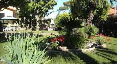 جیاردینو دگلی ارانسی ب اند ب