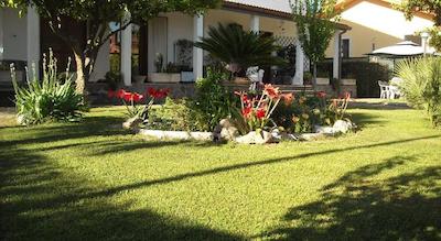 جیاردینو دگلی ارانسی ب اند ب