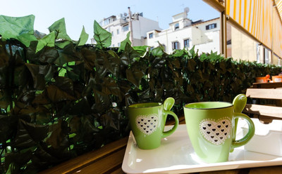 دلیا اکسمدیشن