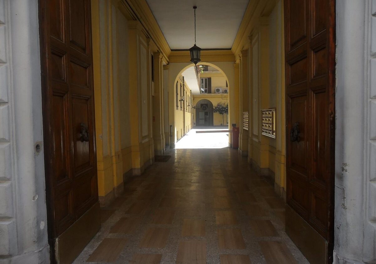 دلیا اکسمدیشن
