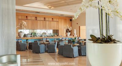 اوشنیا پاریس پورت د ورسای