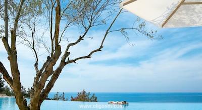 اوشنیا پاریس پورت د ورسای