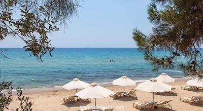 اوشنیا پاریس پورت د ورسای