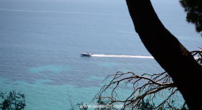 اوشنیا پاریس پورت د ورسای