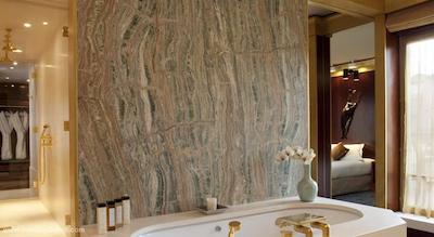 پارک حیات پاریس-وندم