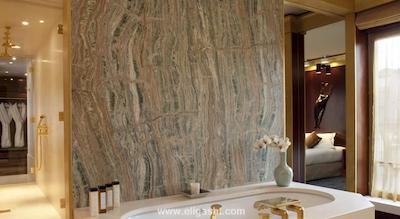 پارک حیات پاریس-وندم