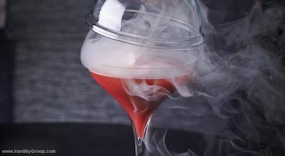 پارک حیات پاریس-وندم