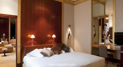 پارک حیات پاریس-وندم