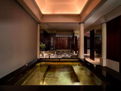 پارک حیات پاریس-وندم