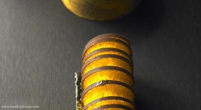 پارک حیات پاریس-وندم