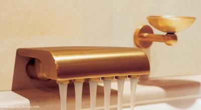 پارک حیات پاریس-وندم