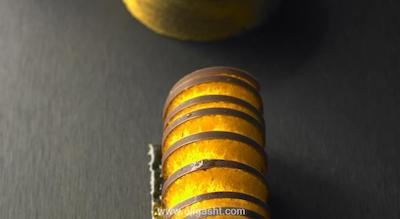 پارک حیات پاریس-وندم