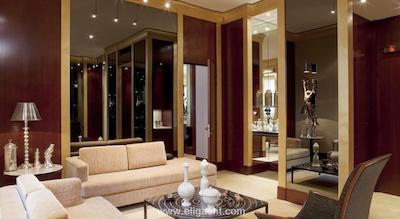 پارک حیات پاریس-وندم