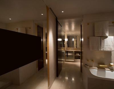 پارک حیات پاریس-وندم