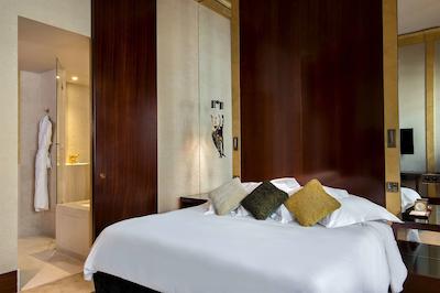 پارک حیات پاریس-وندم