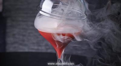 پارک حیات پاریس-وندم