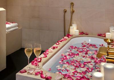 پارک حیات پاریس-وندم