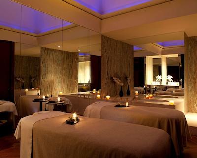 پارک حیات پاریس-وندم