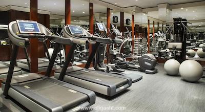 پارک حیات پاریس-وندم