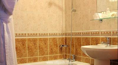 پاویلون لوور ریولی