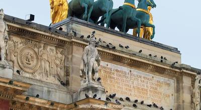 پاویلون لوور ریولی