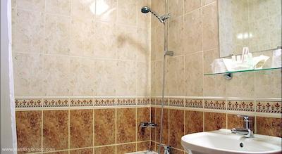 پاویلون لوور ریولی