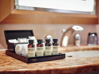 پولمن پاریس لا دفنس