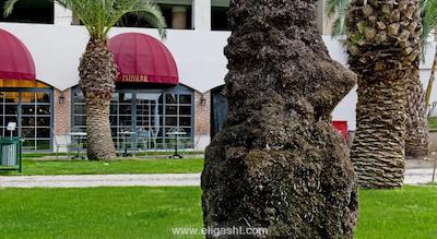 لیماک لیمرا هتل