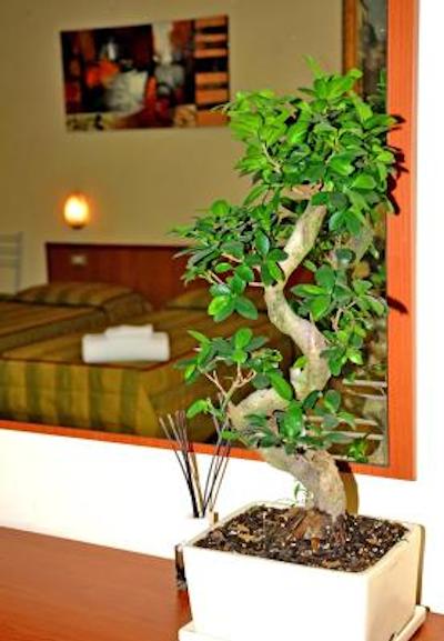 سان سیرو فیرا