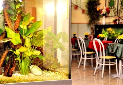 سان سیرو فیرا