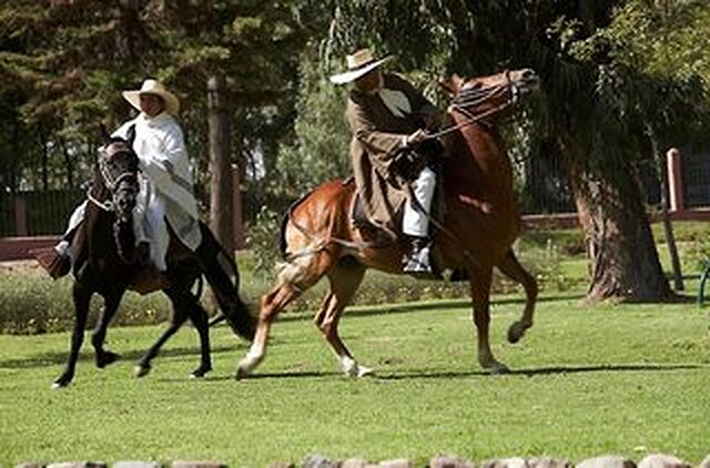 وایندهام کستا دل سُل ارکویپا