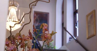 هتل کنتیننتال رلاکس اند اسپا بو سیناتور کالکشن