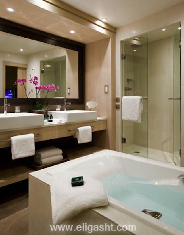 سوفیتل پاریس لا دفنس