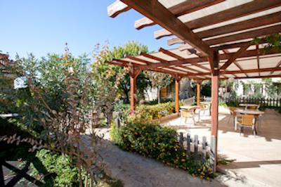 پردیکیا هیل