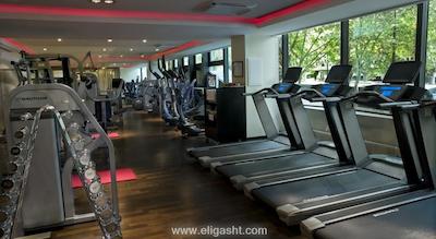 ماریوت ریو گاوش