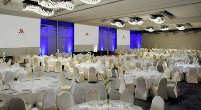 ماریوت ریو گاوش