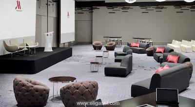 ماریوت ریو گاوش