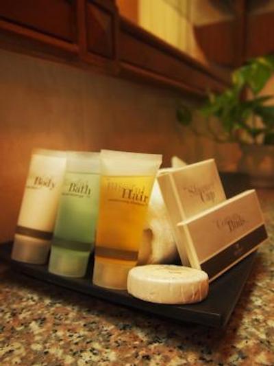 بلیستون سووان پارک ویو