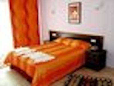 فلامینگو هتل اند اسپا-پت فریندلی