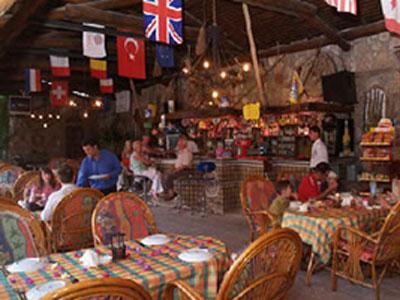 فلامینگو هتل اند اسپا-پت فریندلی