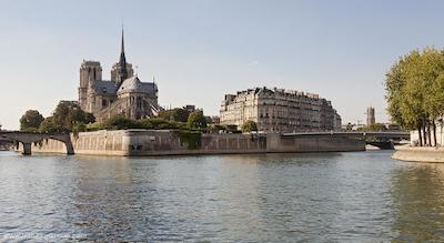 تیمهتل پالایس رویال