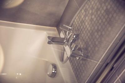 تیمهتل پالایس رویال