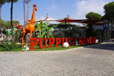 سلکتوم لاکچری ریزورت بلک