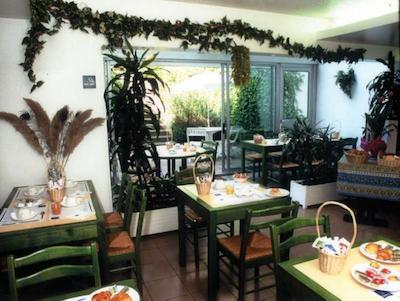 تیمهتل نیشن