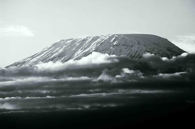 امبسلی سرنا سافاری لج