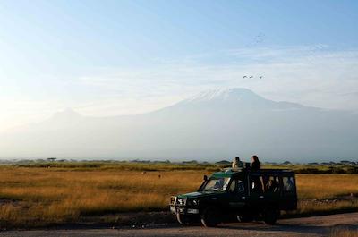 امبسلی سرنا سافاری لج
