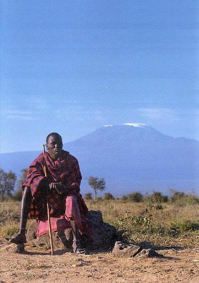 امبسلی سرنا سافاری لج